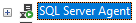serveragenton.PNG